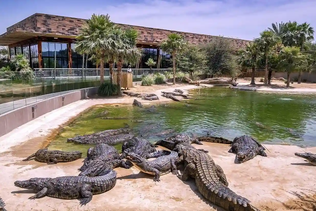 Dubai Crocodile Park Entry Ticket